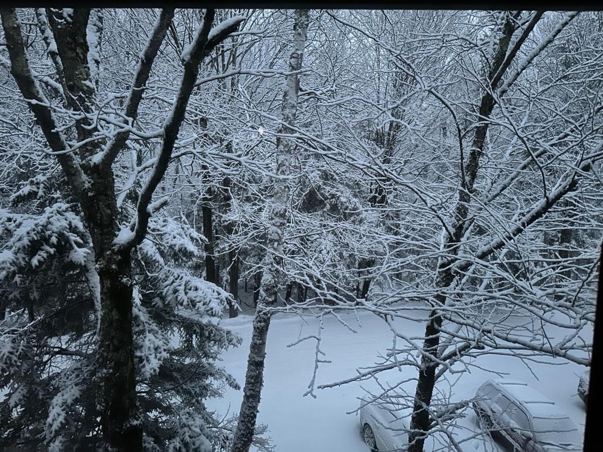 Vermont Getaway! Newly Renovated! Stratton Valley Esterno foto